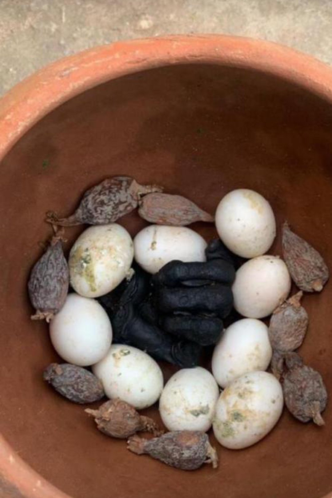 The best powerful spiritual herbalist in Nigeria+2348117855171