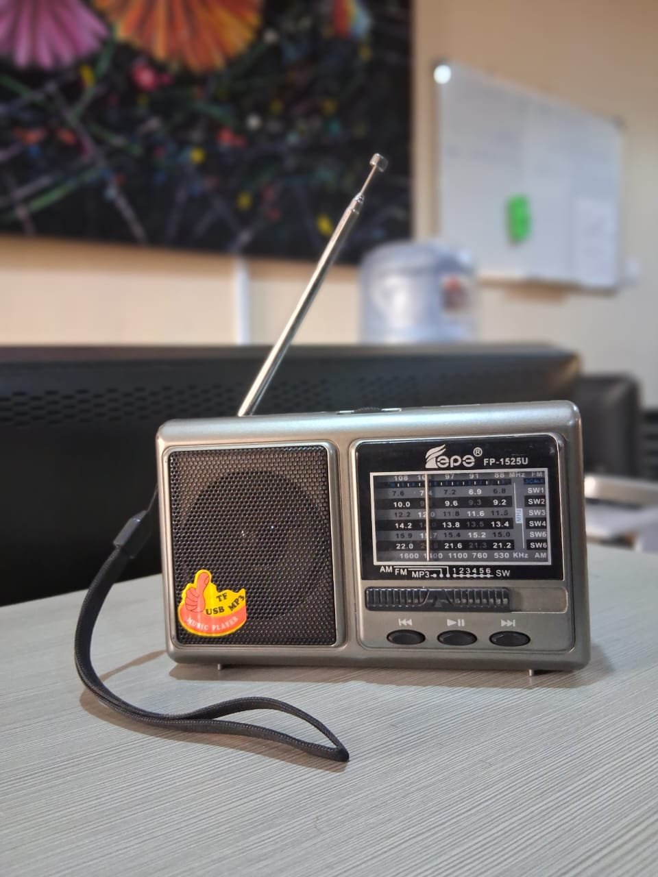 Portable multi-band Radio